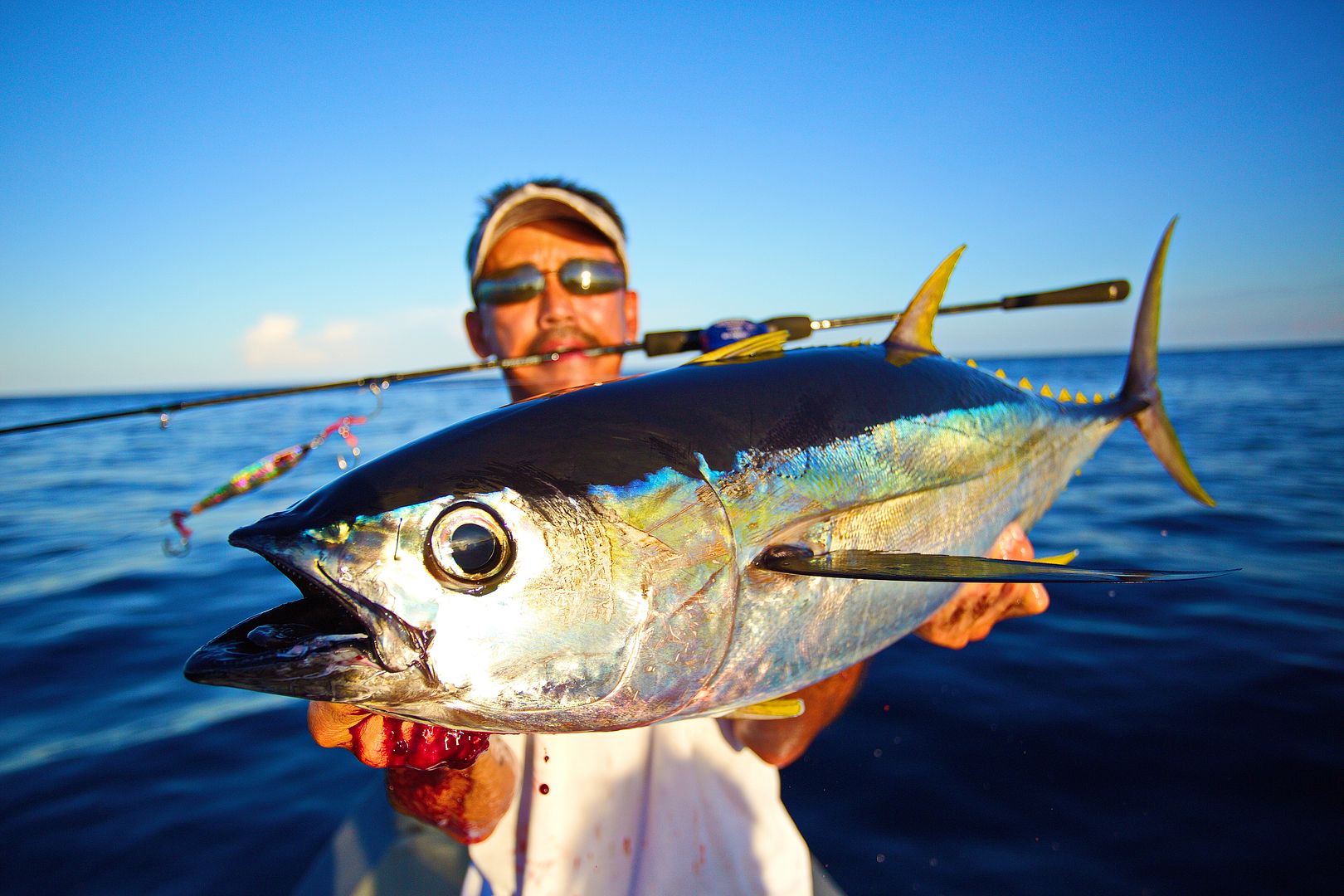 Sambit Island, Indonesia July 2015 ( Dogtooth Tuna ) BASS BARN
